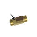 Zennio 3/4" pipe nipple with temperature probe (male-male)